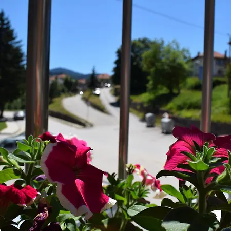 Complex Pele 酒店 Zmeitsa